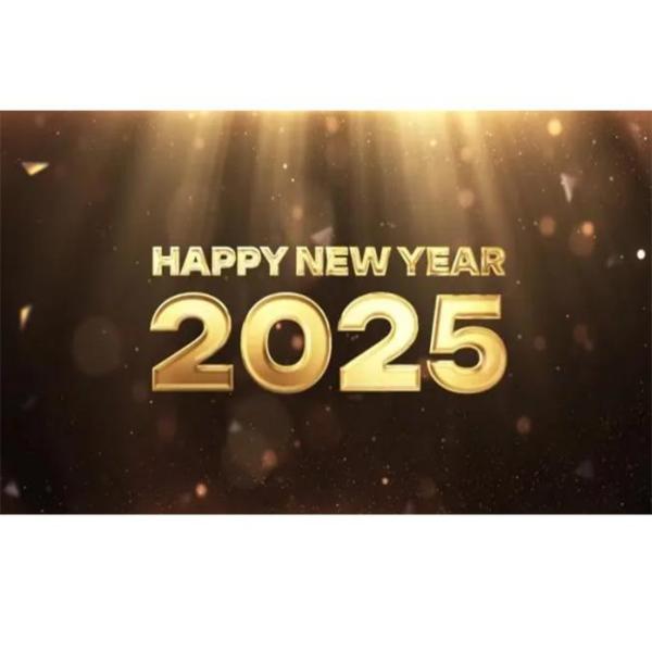 Happy New Year 2025!